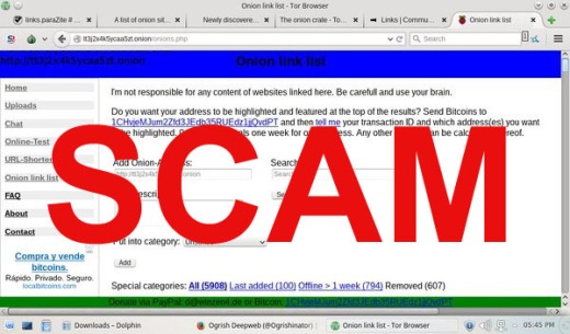 Scammer pictures website